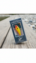 Field-Tested Topwater Popper Aggressive Splash